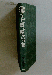 チビ竜魔法の実