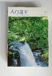 大白蓮華　 2010年7月号
