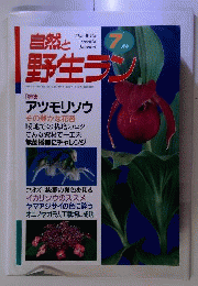 自然と野生ラン 2005年7月号