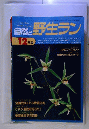 自然と野生ラン 1995年 12月号 [雑誌]