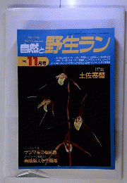 自然と野生ラン 1995年 11月号 [雑誌]