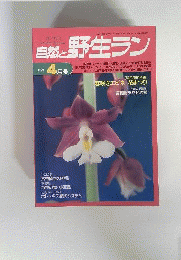 自然と野生ラン　1996年04月号