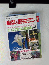 自然と野生ラン　2002年04月号