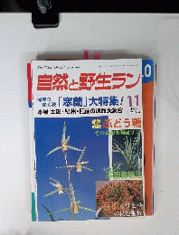 自然と野生ラン 2010年 11月号 [雑誌]