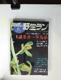 自然と野生ラン 2010年 06月号 [雑誌]