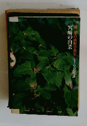 滝一郎の山野草教室定価