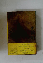光岡明　迷鳥