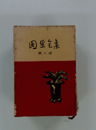 肉生素　8