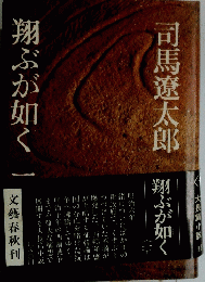 翔ぶが如く
