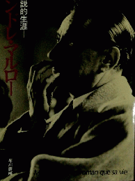 アントレ・マルロー　小説的生涯