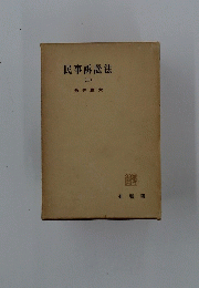 民事訴訟法　二