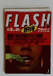 FLASH　198711月19日号　No.1