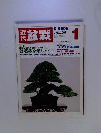 近代盆栽 2008年 01月号 [雑誌]