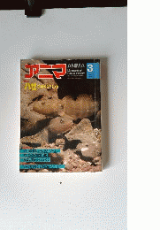 アニマ 1982年 3月号