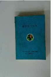 安全のてびき