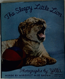 The Sleepy Little Lion