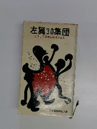 左翼30集団ーこうして日本は破壊される