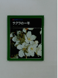 サクラの一年