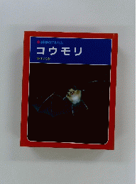 科学のアルバム　コウモリ