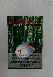 割り箸て森か教えるか？