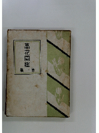 萬花圖鑑 集一第