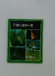 アカトンボの一生　佐藤有恒