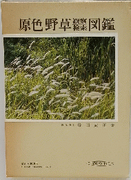 原色野草図鑑