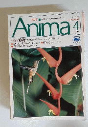 アニマ　1990年4月号