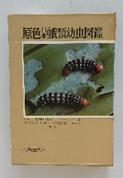 原色類幼虫図鑑
