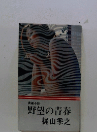 野望の青春