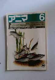 アニマ 1985年6月号 特集:池と川のアクアリウム