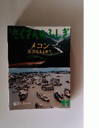 月刊たくさんのふしぎ メコン 源流をもとめて