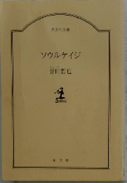 ソウルケイジ
