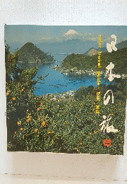 日本の旅　伊豆/東海　8