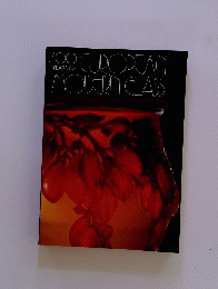 100　YEARS　OF　EUROPEAN MODERN GLASS