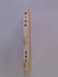 神の悪戯