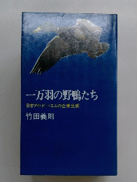 一万羽の野鴨たちー日本アイ ビー エムの企業生態