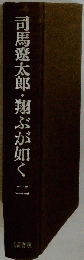 翔ぶが如く　二