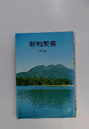 新約聖書　新改訳