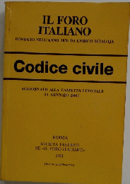 Il Foro Italiano　Codice civile　2001年