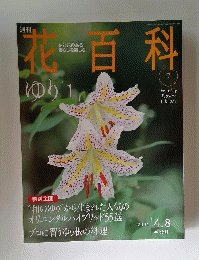 週刊花百科 7