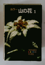 山の花　1　カラー