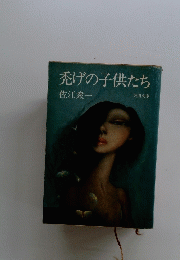 禿げの子供たち