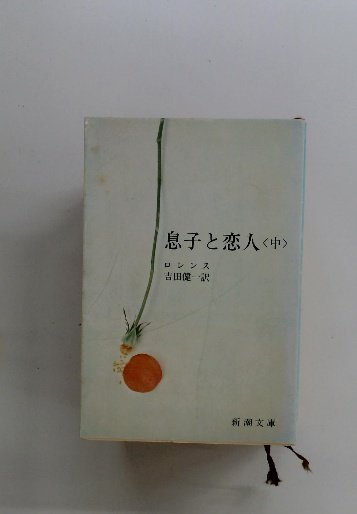 天体・気象 原色学習ワイド図鑑 Picture Encyclopedia 11 / 古本