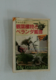 観葉植物とベランダ園芸
