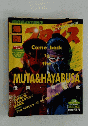 爆闘プロレス　1996年5月号