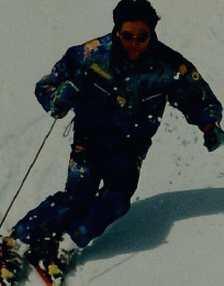 SKIjournal　1994年7月号　No.343