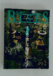 私の部屋ビズ　1998盛夏号 No.38