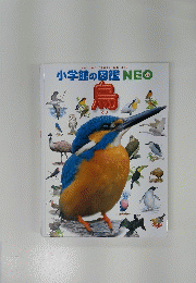 鳥