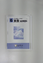 6算数　総合問題集I